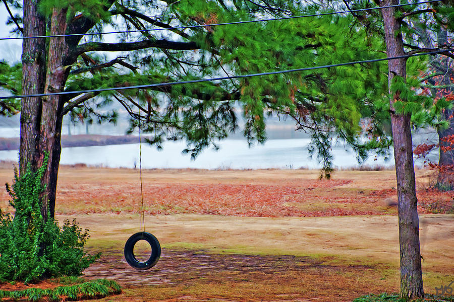 The Tire Swing Photograph