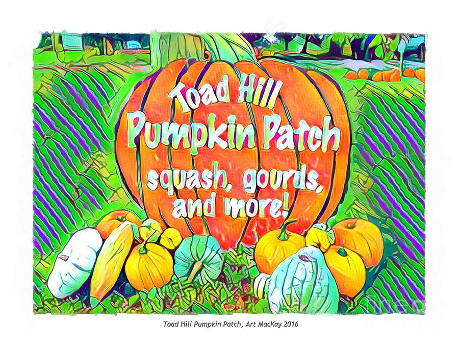 The Toad Hill Pumpkin Patch Photograph by Art MacKay