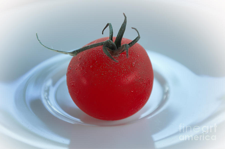 The Tomato Photograph by Michelle Meenawong
