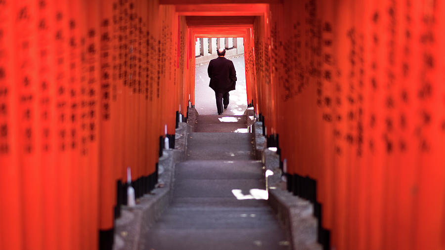 The Torii tunnel - Tokyo, Japan - Color street photography Photograph by Giuseppe Milo