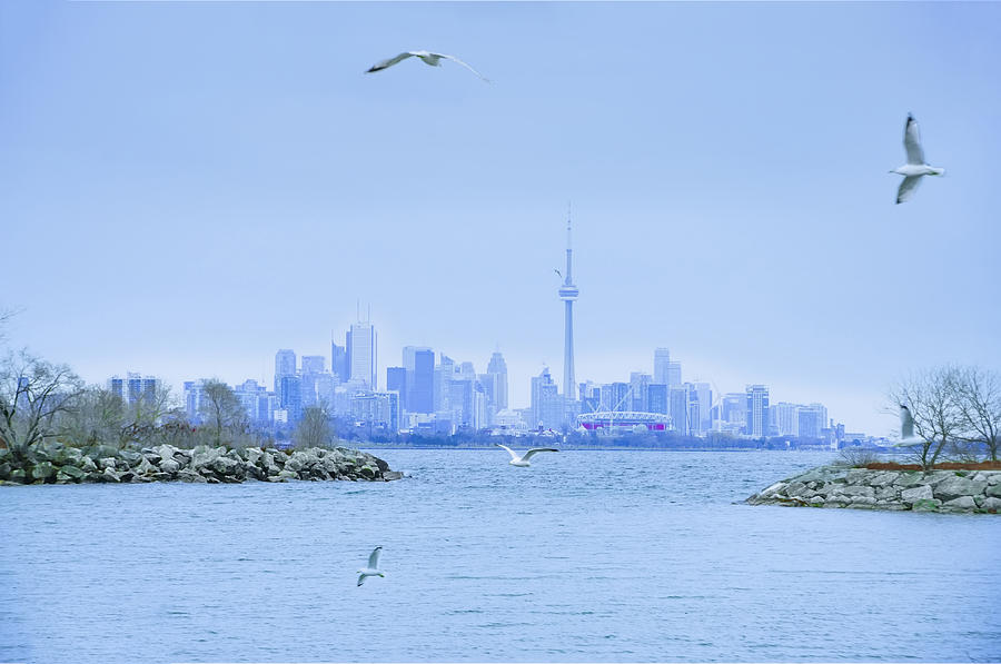 The Toronto Skyline Photograph by Bill Cannon