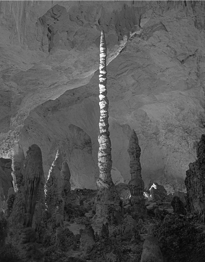 214921-The Totem Pole  Photograph by Ed  Cooper Photography