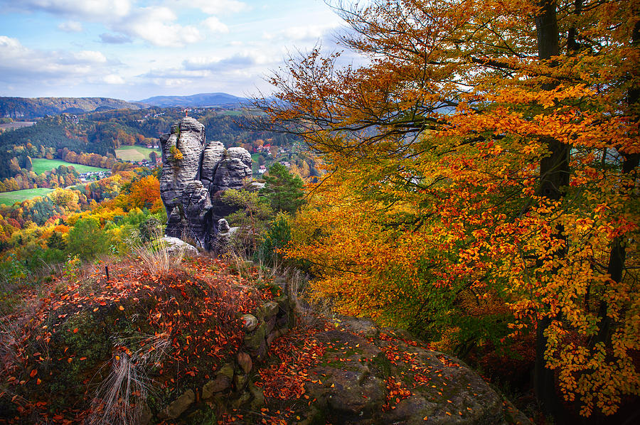 Nature Photograph - The Touch of Gold. Saxon Switzerland by Jenny Rainbow