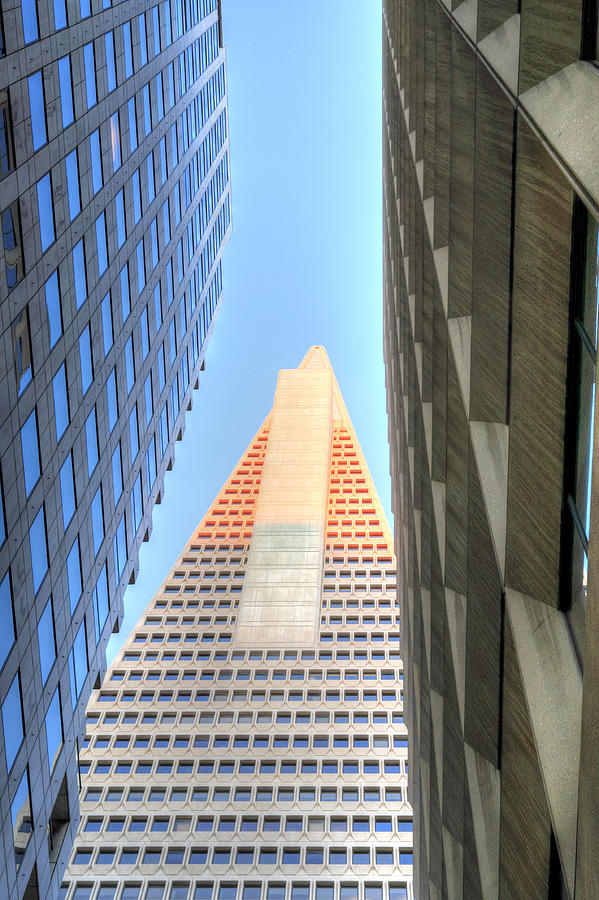 San Francisco Photograph - The Tourist  by JC Findley
