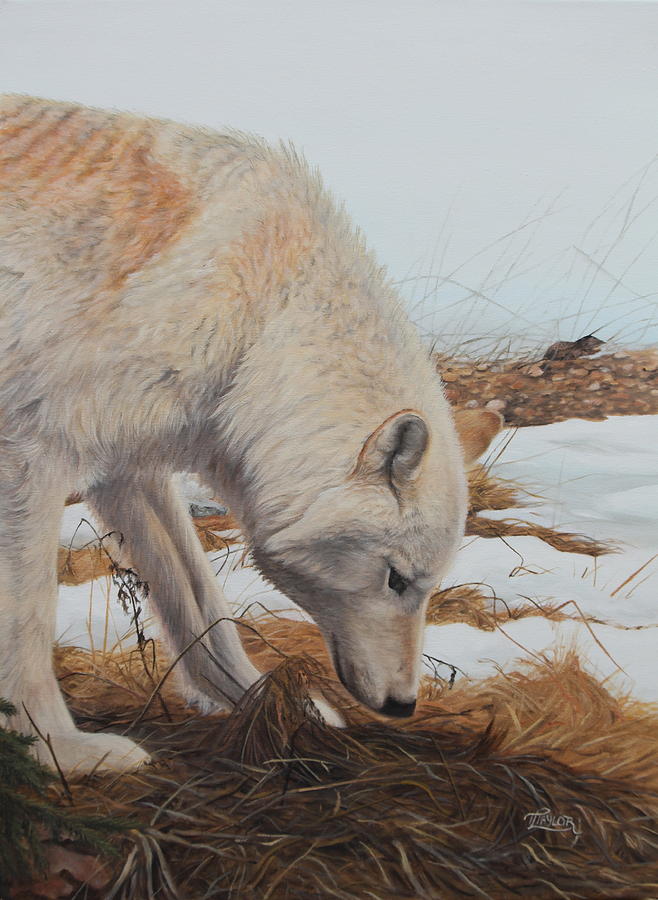 The Tracker Painting by Tammy Taylor