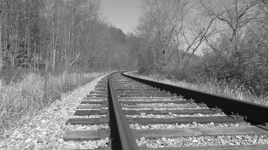 The Tracks - Black and White Photograph by Janice Farral - Fine Art America