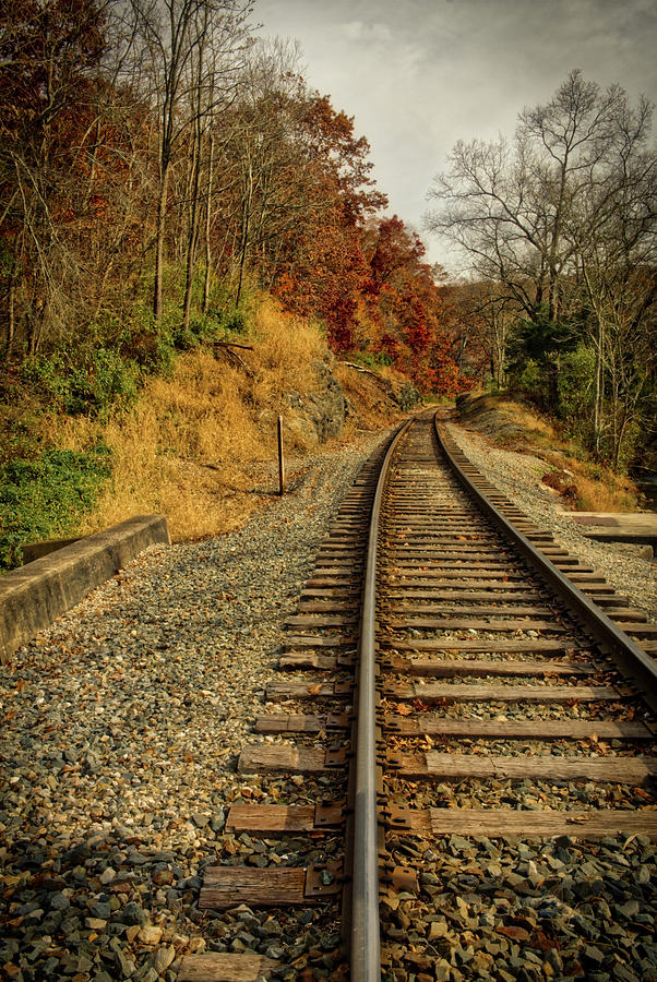 The tracks in the Fall Photograph by Mark Dodd