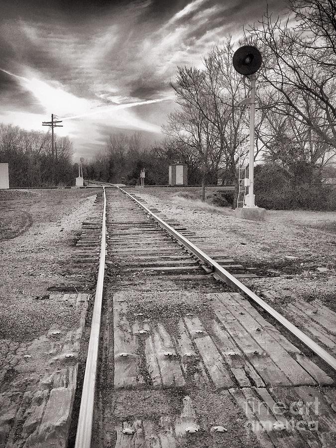 The Tracks Photograph by Jenny Revitz Soper