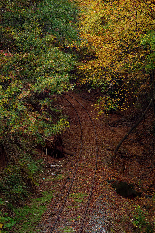 The Tracks Photograph by Karen Ruhl