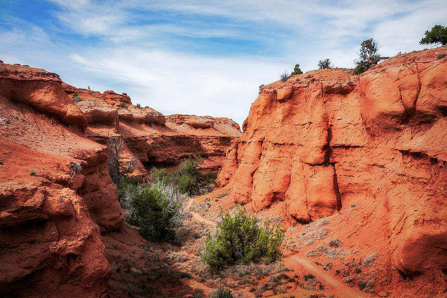 The Trail Through Kodachrome Basin State Park Photograph By Daniela 