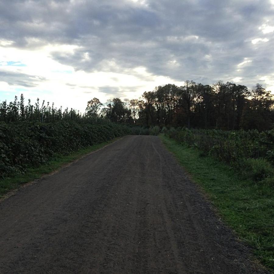 The Trail To Go Apple Picking Photograph by TabRock R