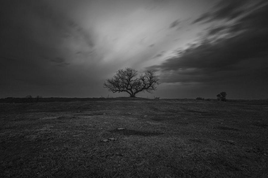 The Tree Photograph by Aaron J Groen