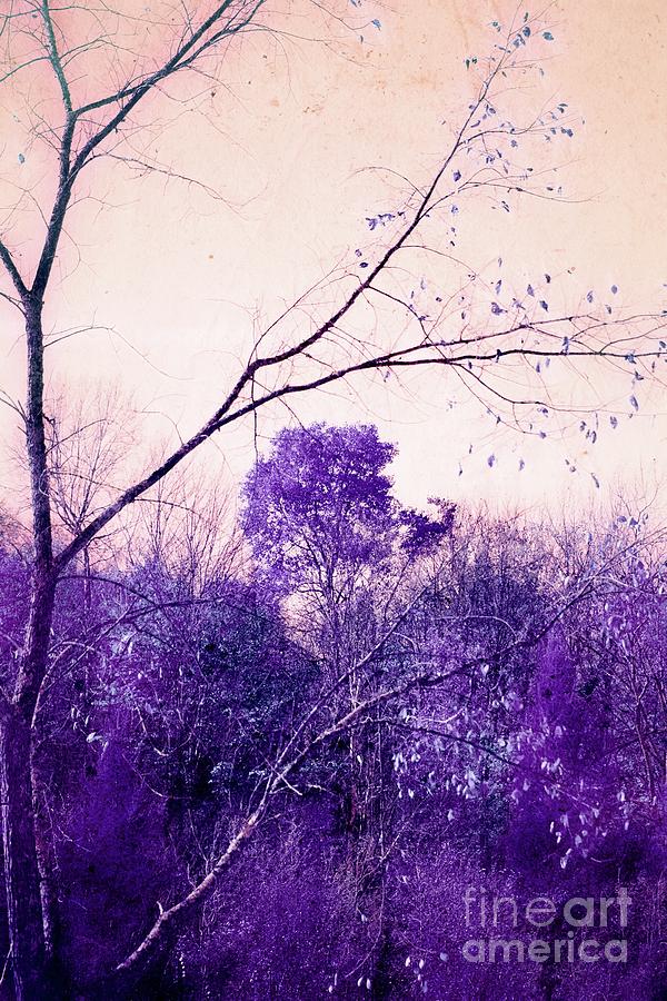 The Tree - ap85c Digital Art by Variance Collections