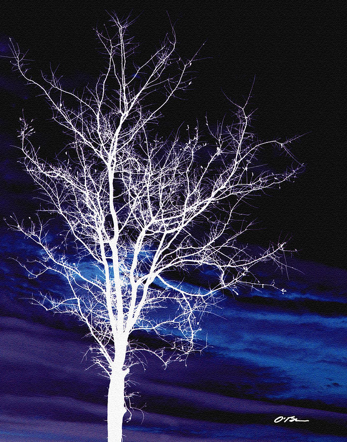 Winter Digital Art -  Tree by the Sea by Claudia OBrien