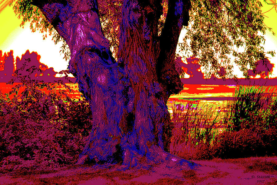 The Tree Digital Art by David Stasiak
