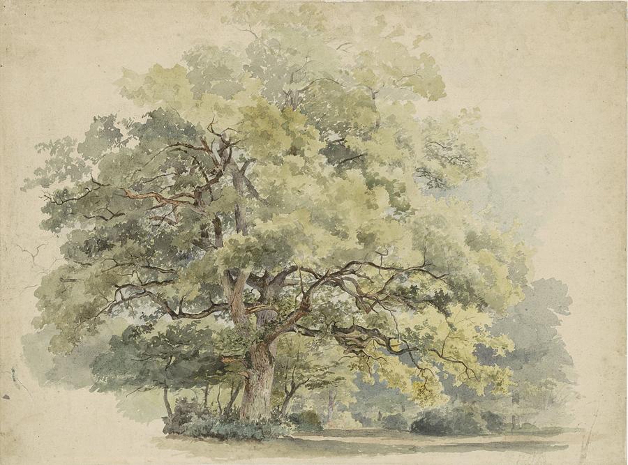 The Tree Painting - The Tree by George