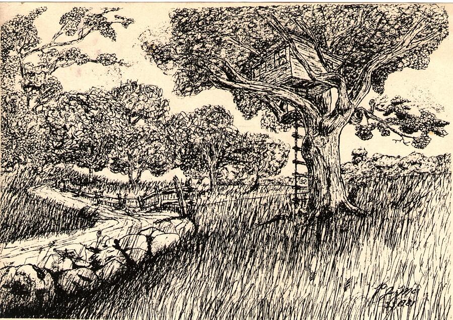 Michele Cavaloti - Tree House Sketch