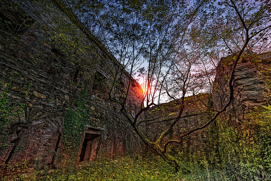 THE TREE in THE FORT - LALBERO TRA LE MURA DEL FORTE SPERONE Photograph by Enrico Pelos THE TREE in THE FORT - LALBERO TRA LE MURA DEL FORTE SPERONE Photograph by Enrico Pelos
