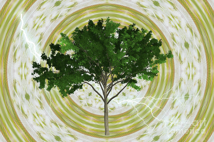 The Tree of Life Digital Art by Donna L Munro