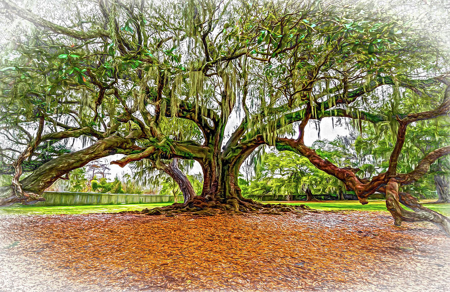 New Orleans Photograph - The Tree of Life - Vignette by Steve Harrington