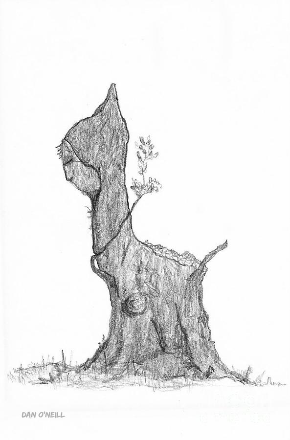 The Tree Stump Drawing by Dan O'Neill