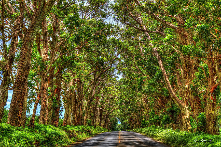 The Tree Tunnel 2 South Shore Kauai Hawaii Eucalyptus Tree Art Photograph by Reid Callaway