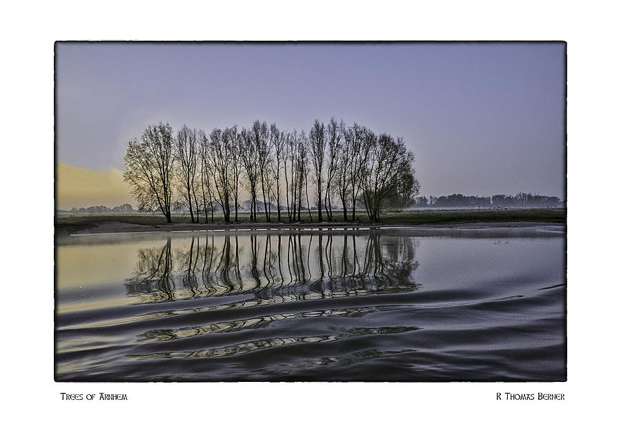 The Trees if Arnhem Photograph by R Thomas Berner