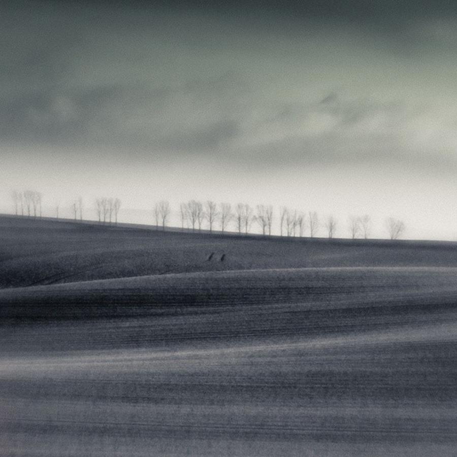 Clouds Photograph - The Trees On The Horizon

#monochrome by Mandy Tabatt