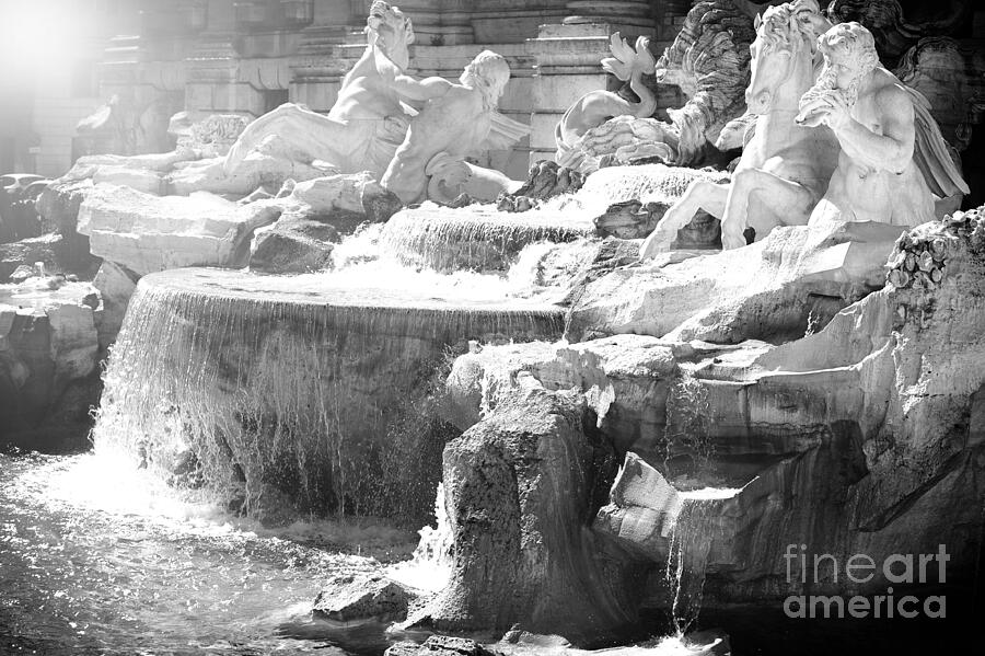The Trevi fountain detail in Rome Photograph by Stefano Senise