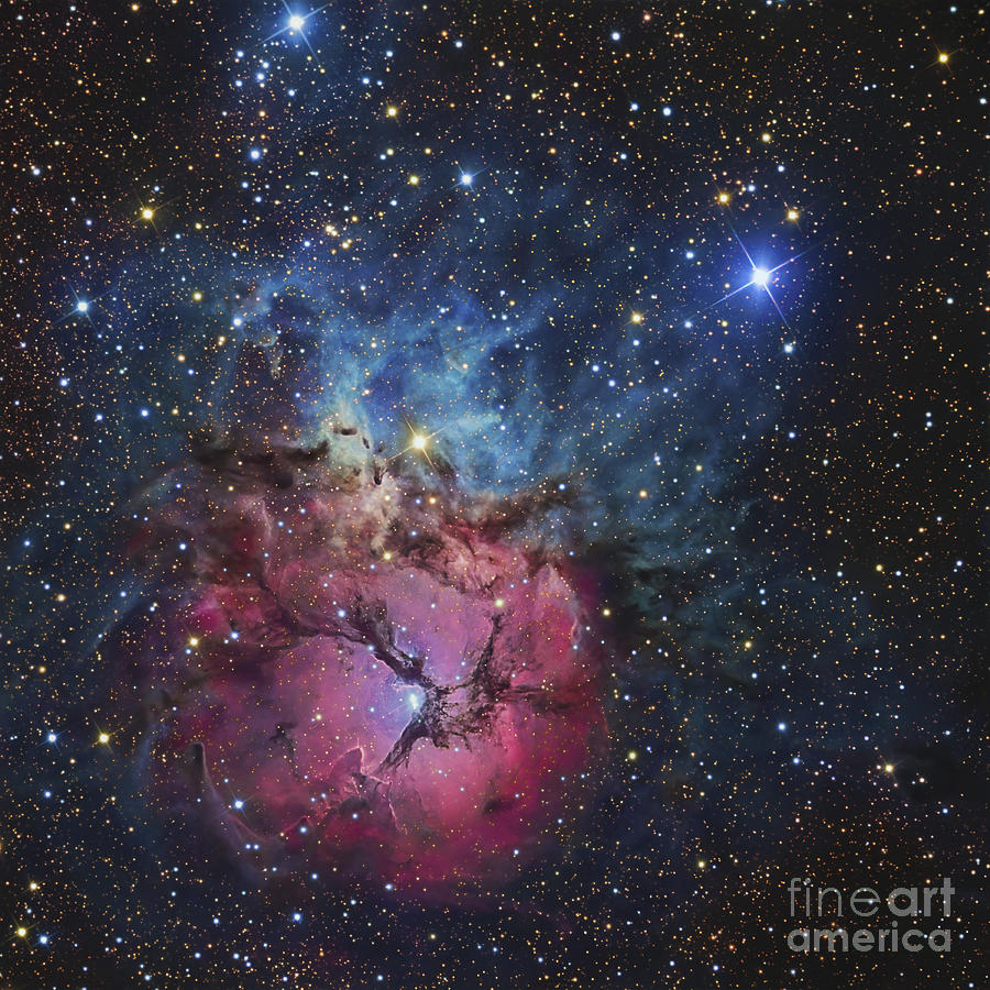 Space Photograph - The Trifid Nebula by R Jay GaBany