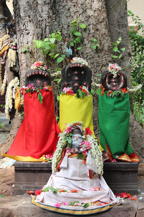 The Trio Plus One, Tiruvannamalai Photograph by Jennifer Mazzucco