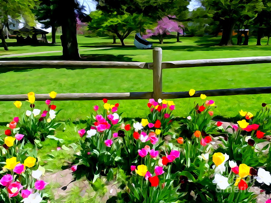 The Tulip Garden Digital Art by Ed Weidman