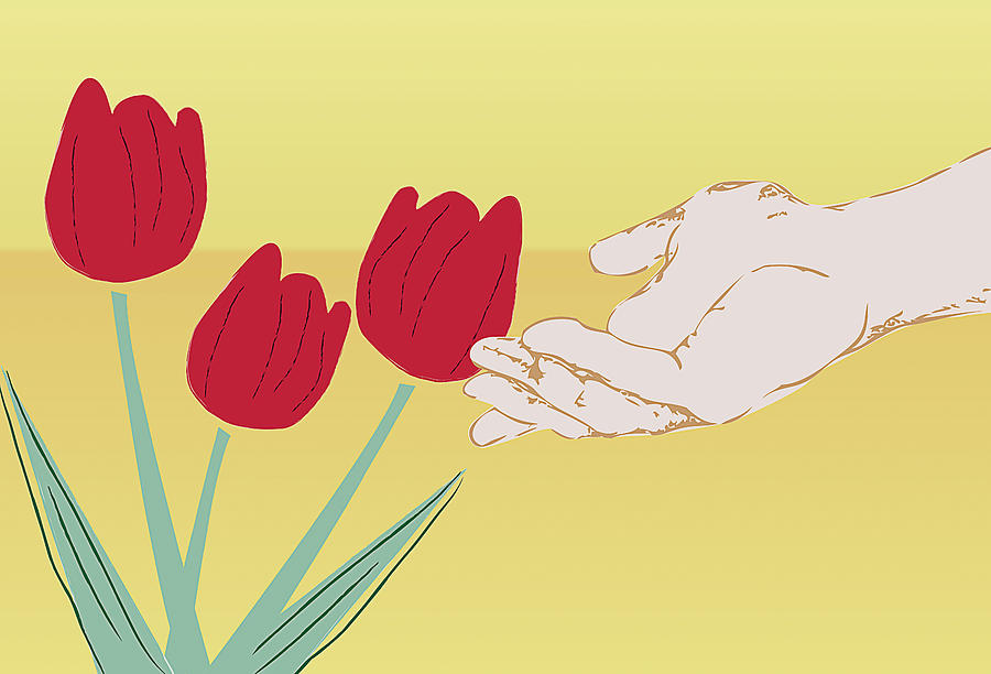 The Tulips Digital Art by Milena Ilieva