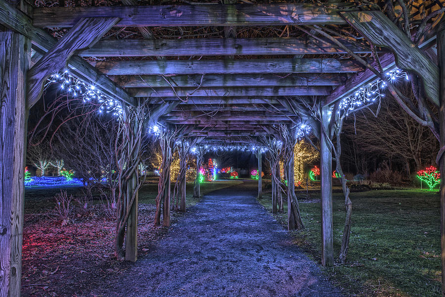 The Tunnel At The Holiday Lights In Bloom Photograph by Angelo Marcialis
