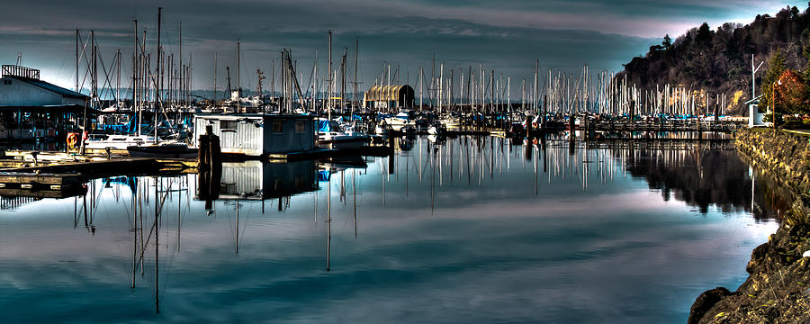 The Tyee Marina at Browns Point Photograph by David Patterson