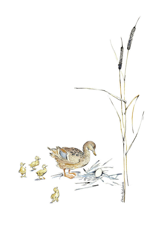 duck and ducklings drawing
