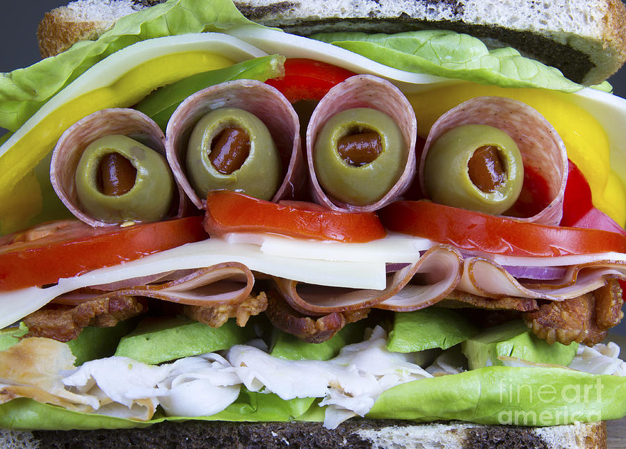The Ultimate Sandwich Photograph by Karen Foley