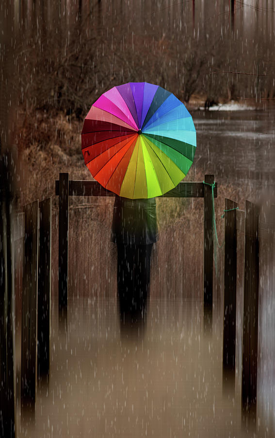 The Umbrella Photograph by Lilia S