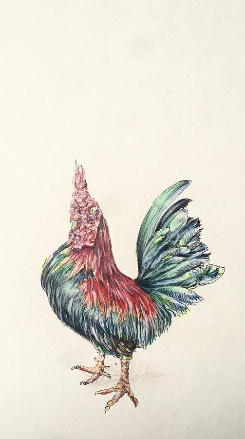 The Unfinished Rooster Drawing by Thomas Hamm