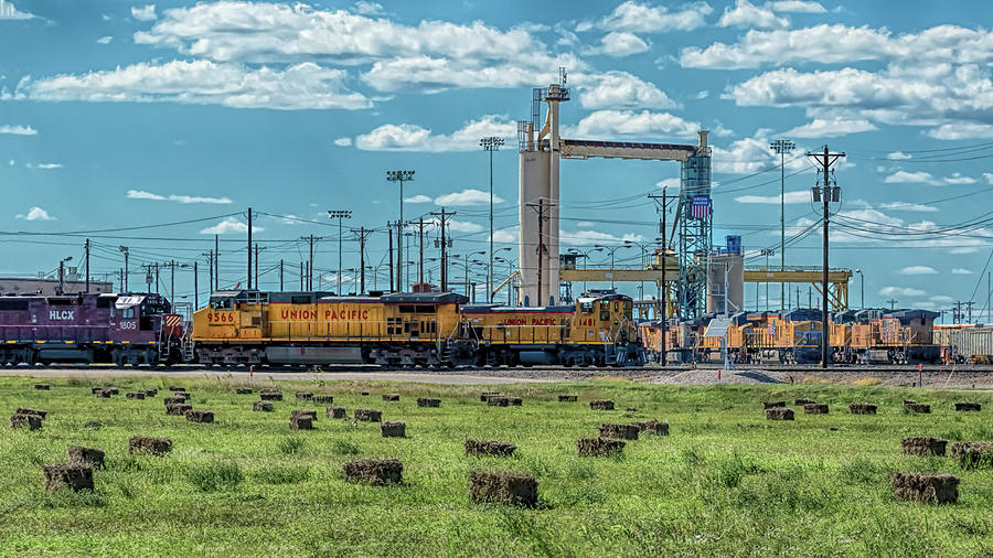 The Union Pacific Bailey Yard Photograph by Susan Rissi Tregoning