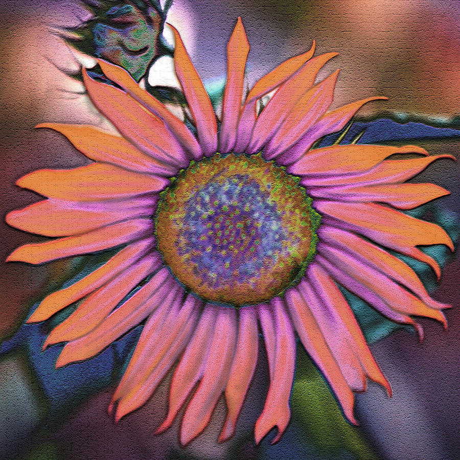 Sunflower Photograph - The Universe in a Sunflower by Sheryl Karas