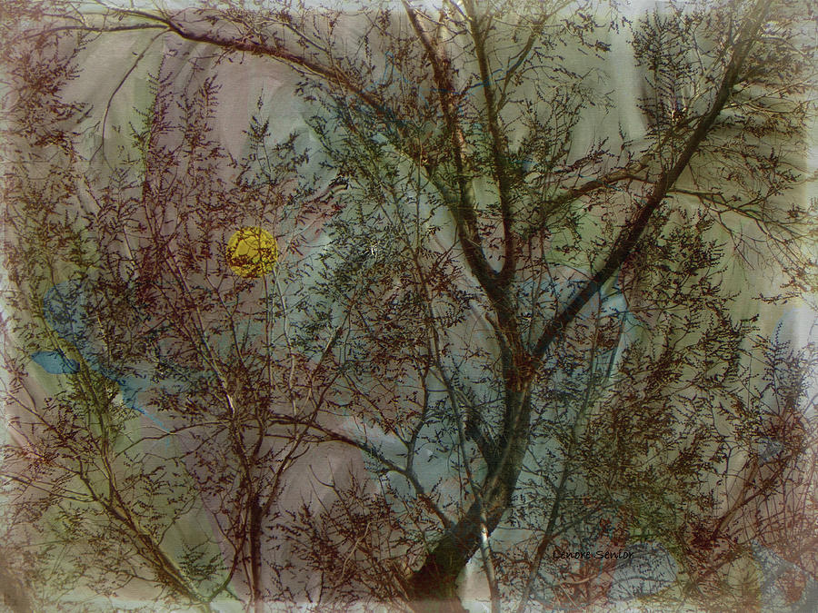 The Universe in a Tree Mixed Media by Lenore Senior