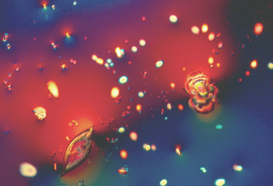 The UNIVERSE IN WINE by Sondra Barrett The UNIVERSE IN WINE by Sondra Barrett