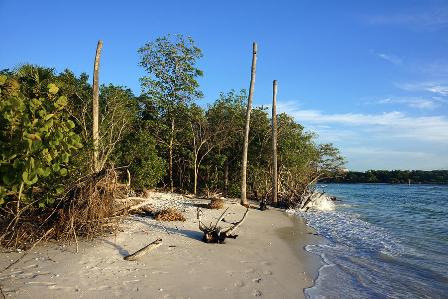 The Unspoiled Beauty of barefoot Beach in Naples - Landscape by Robb Stan The Unspoiled Beauty of barefoot Beach in Naples - Landscape by Robb Stan