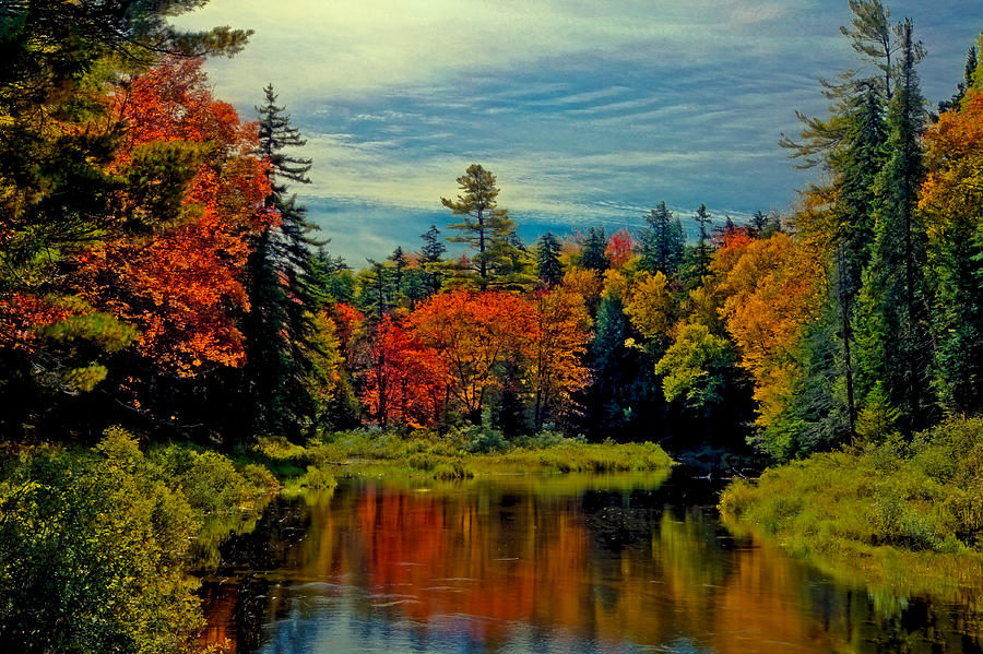 Fall Photograph - The Upper Branch of the Moose River by David Patterson