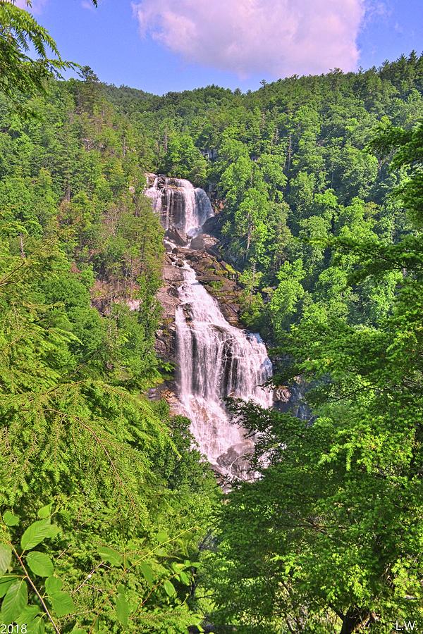 The Upper Whitewater Falls North Carolina Summertime Vertical  Photograph by Lisa Wooten