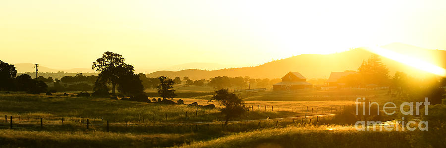 Barn Photograph - The Valley at Dawn by Mary Jane Armstrong