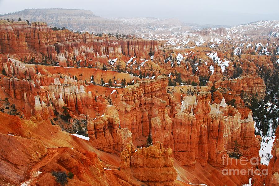 The Valley of Hoodoos Photograph by Scott Cameron