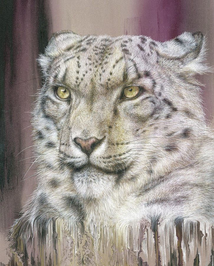 The Vanishing Cat by D Y Hide The Vanishing Cat by D Y Hide
