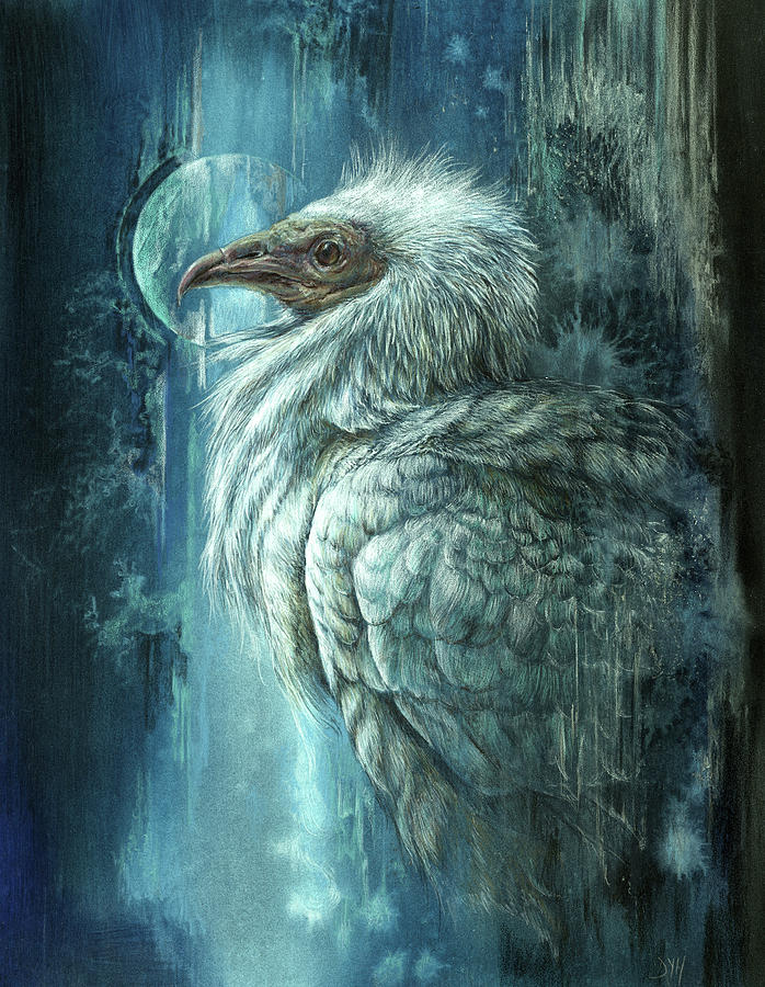 The Vanishing Vulture by D Y Hide The Vanishing Vulture by D Y Hide